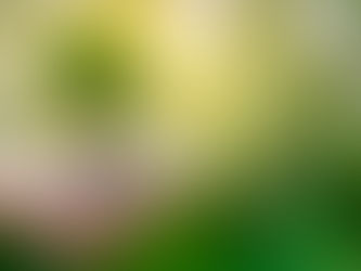 炒黃金平臺選擇,關鍵看這兩點!