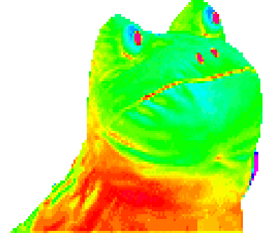 frog.gif