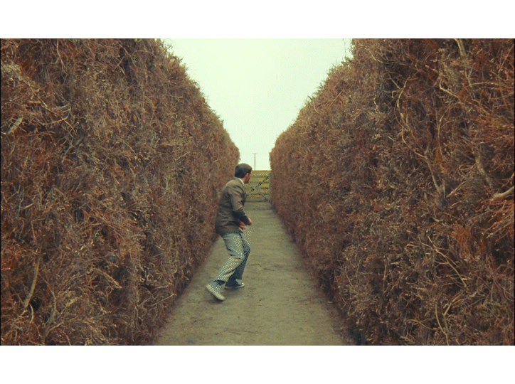 Hedgerows gif.gif