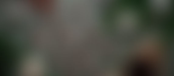 čokoladni piškoti s kokosom