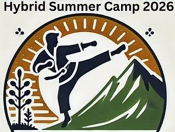 Hybrid Summer Camp 2026_edited.jpg