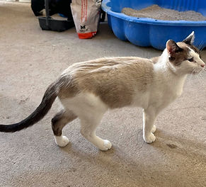 WhatsApp Image 2025-10-30 à 22.50_edited.jpg