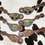 Thumbnail: Painted Spur Straps