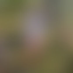 Tu ansiedad te está mintiendo