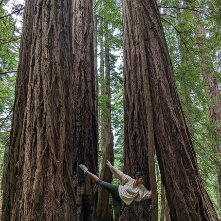 Aros delgados, aros gruesos