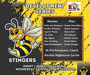Development Series Stingers.png