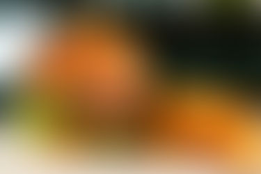 Whet up an Absolut appetite with Harry's Elyx Surf and Turf Burger