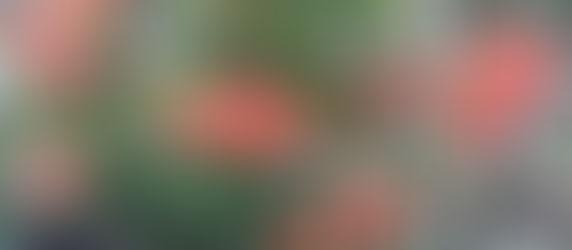 The Key to being Mindful