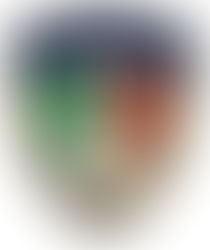 Manifestazione di Interesse per Idonei in Polizia Locale: Guida Completa 2026