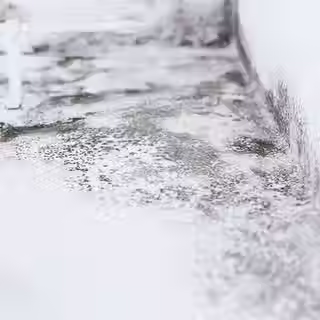 Mold-in-a-Bathroom