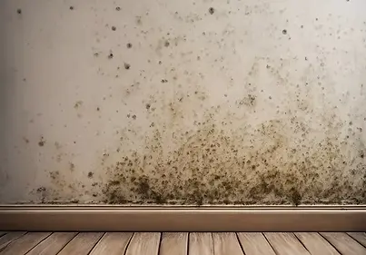 small amount of mold on wall in house.webp