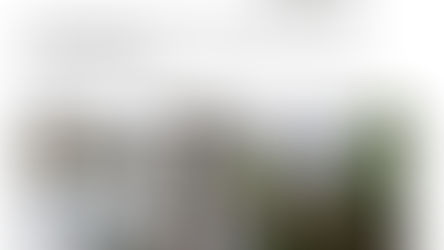 ¿31% menos de Airbnb en Medellín? La realidad detrás de los números