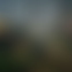 A spark for machine learning led to dissertation and to the invention of the first Finnish AI beer