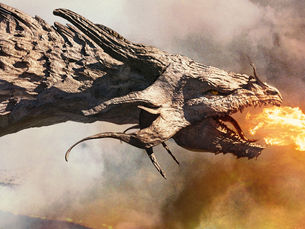 Slaying the Dragon – The story of my research topic