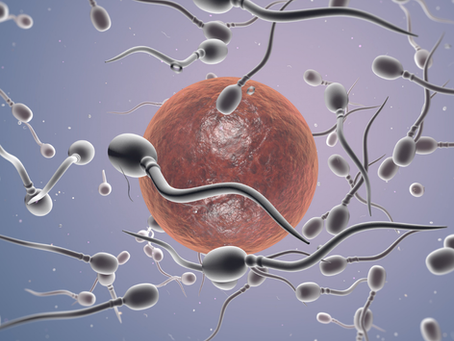 Microplásticos y espermatozoides: ilustración conceptual sobre salud reproductiva masculina y fertilidad.