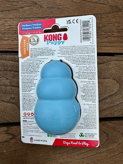 Blauwe Kong puppy