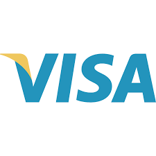 visa pay logo.png