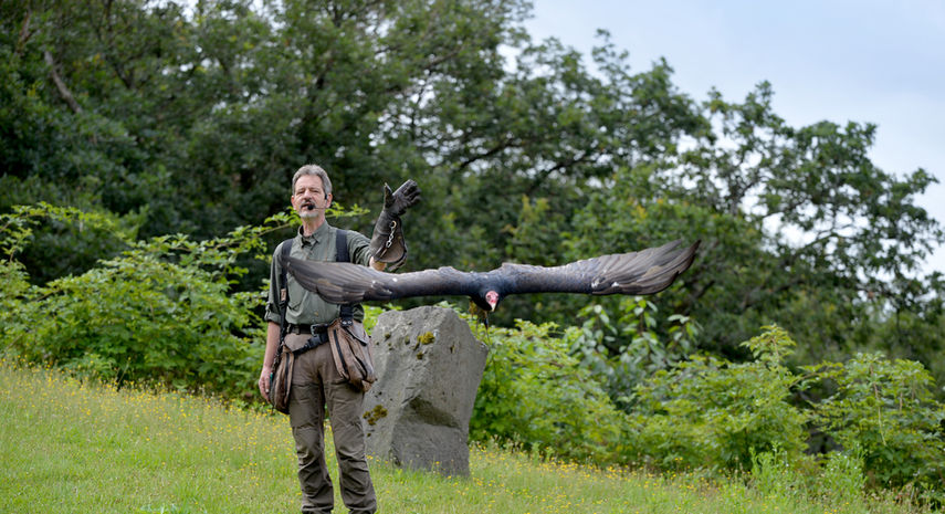 Wild und Freizeitpark Klotten