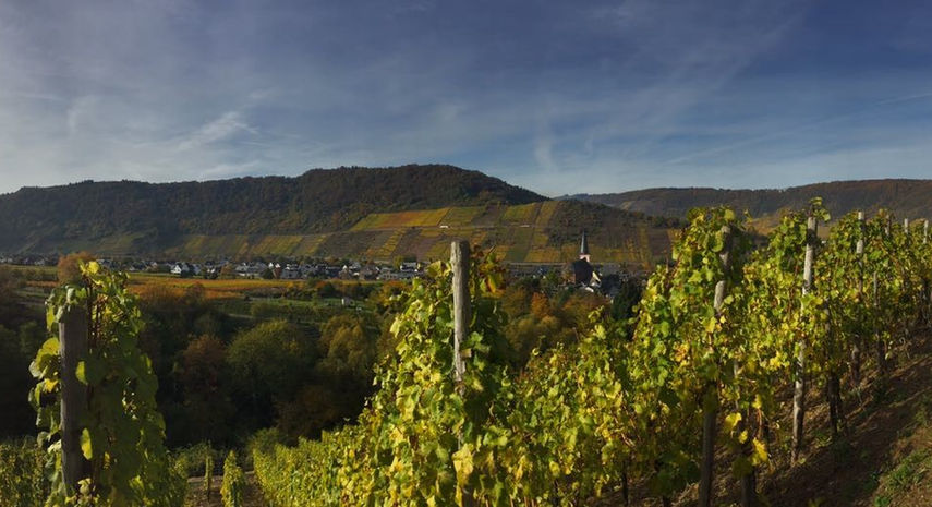 Urlaub Mosel
