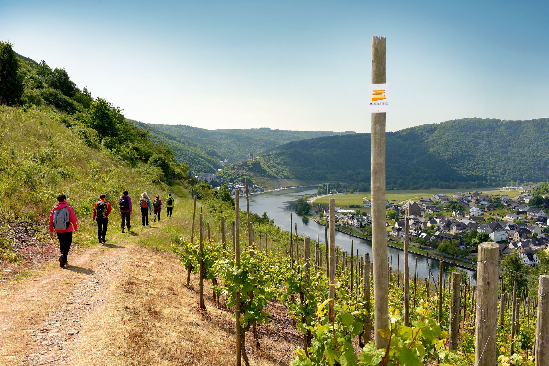 Weinwanderung Mosel