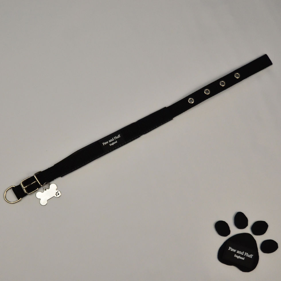 Tough Black Dog Collar