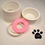 Thumbnail: Dog Water Bowl