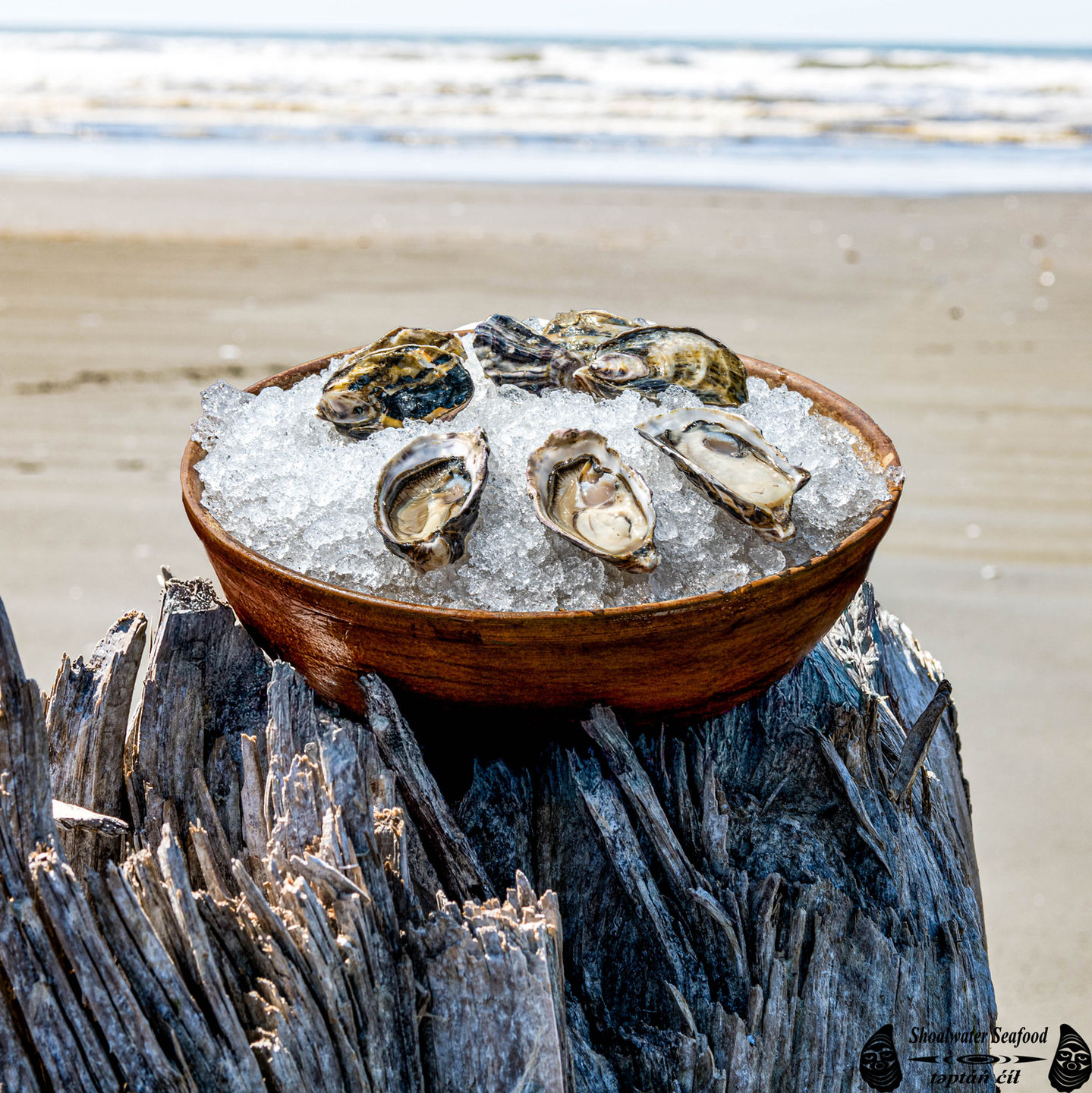 Shoalwater Seafood BayStone Half Shell Oysters Platter on Ice on the beach