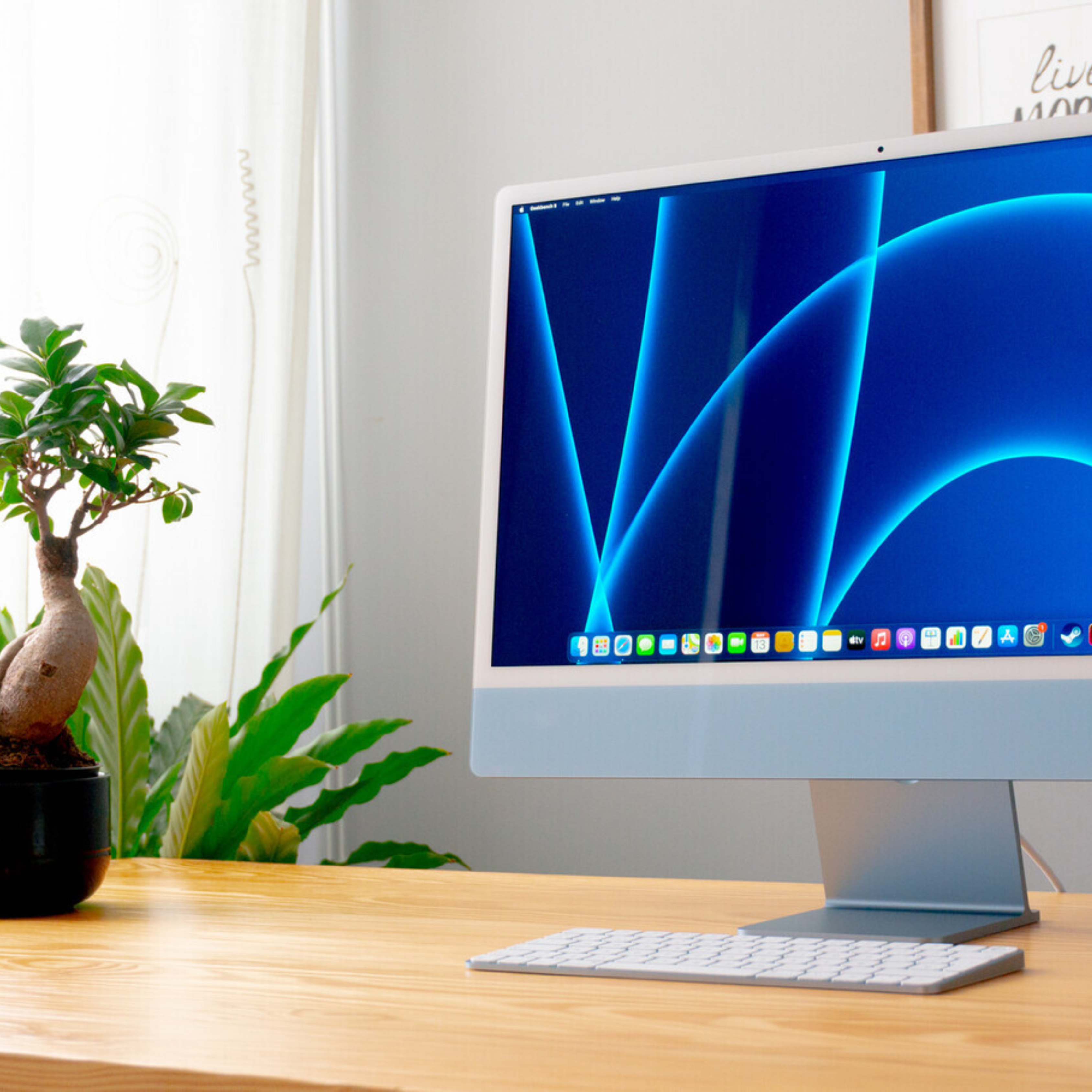 consulta online de fisioterapia saltillo