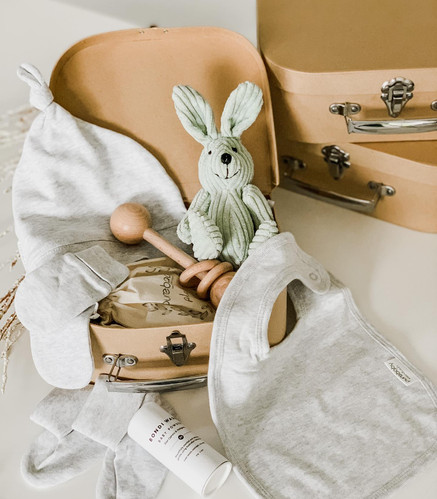 Cuddle Bunny Case | Balloons and Cake