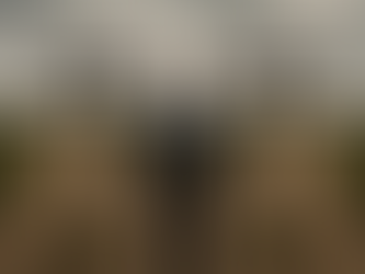 When People Don’t Learn Because They Never Wanted To