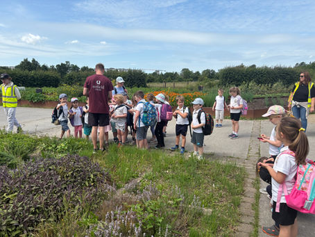 Junior and Senior Infants Take a Trip to Airfield Estate!