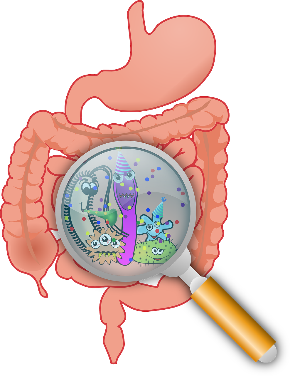 microbes, gerd, bacterial overgrowth