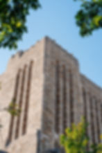 Yale University