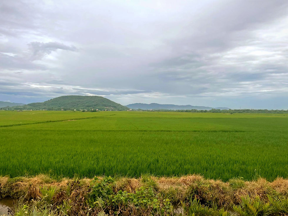 Countryside in central Vietnam close to a village