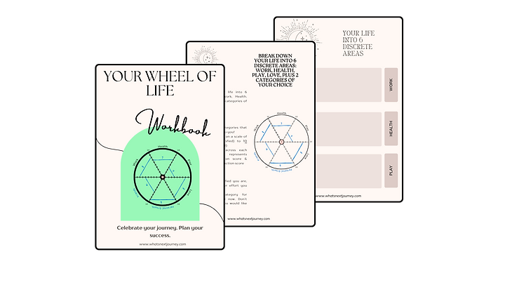 Workbook Wheel of Life.png