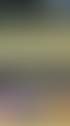 Corps of Cadets
