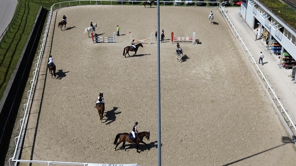 Springkurs mit Tanja Lanicca