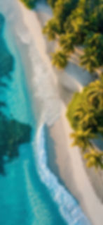 Aerial view of a tropical beach with palm trees and turquoise water.