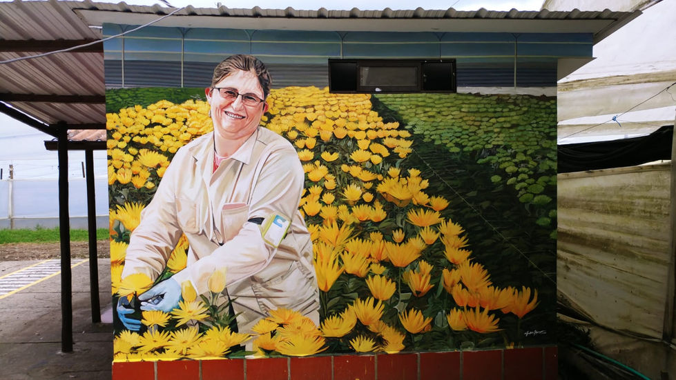 Imagen de WhatsApp 2024-11-11 a las 12.49.13_30e4a65f