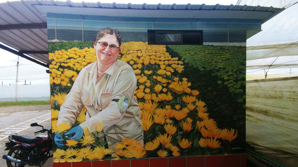 Imagen de WhatsApp 2024-03-17 a las 12.42.23_5625fb74