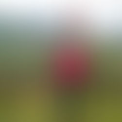 Is travel writing still relevant?