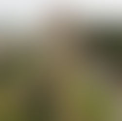 Adventure for the win.