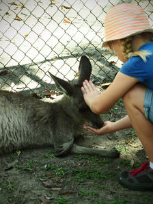 Learning Brave Australia Tour