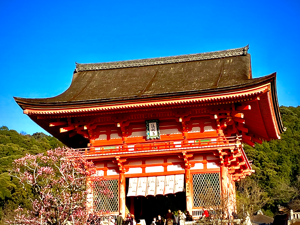 65Japan Youth Tour 2023