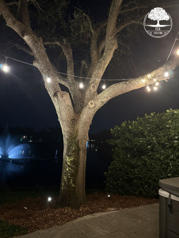 CCA Lighting