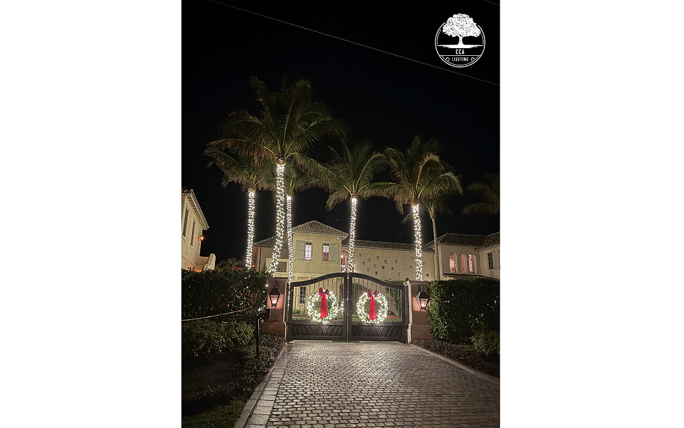 Local holiday lights done beautiful, quickly, and safe