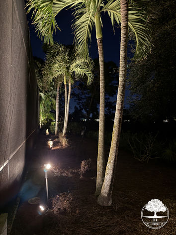 CCA Lighting