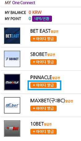 해외 사이트 선택하기
