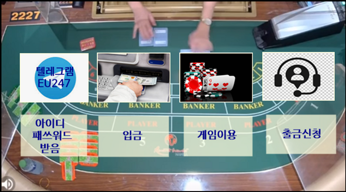 스피드 배팅