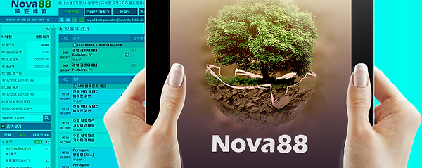 NOVA88 해외 스포츠